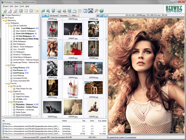 NeoDownloader 3.0.4