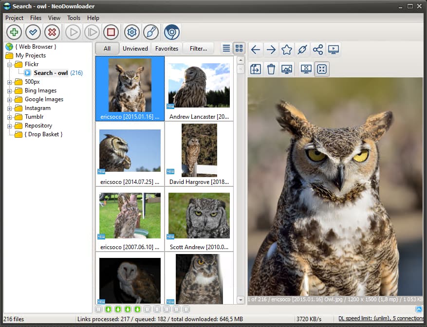 Downloaded Flickr photos with thumbnails and descriptive file names