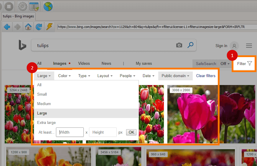 Bing Images filter toolbar showing size options including Extra Large