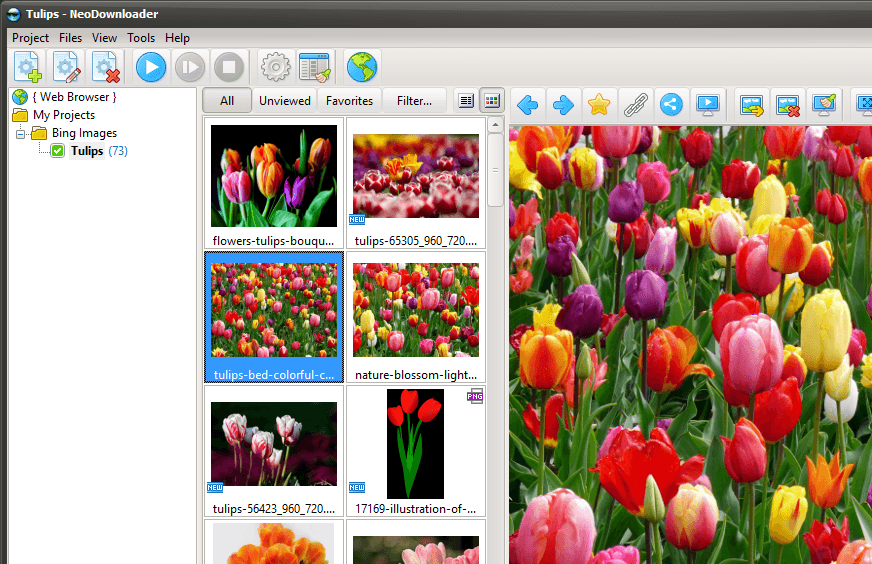 NeoDownloader showing downloaded images from Bing search