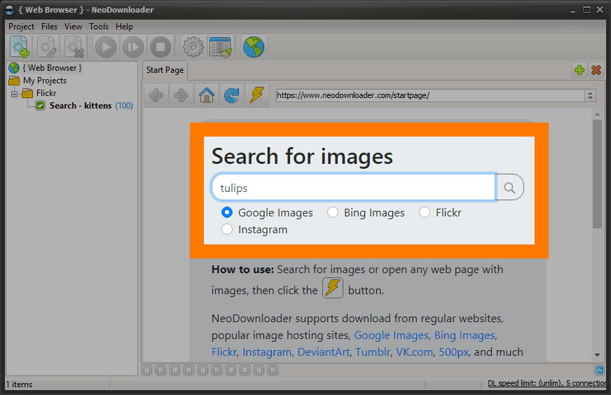 NeoDownloader built-in browser showing Google Images search