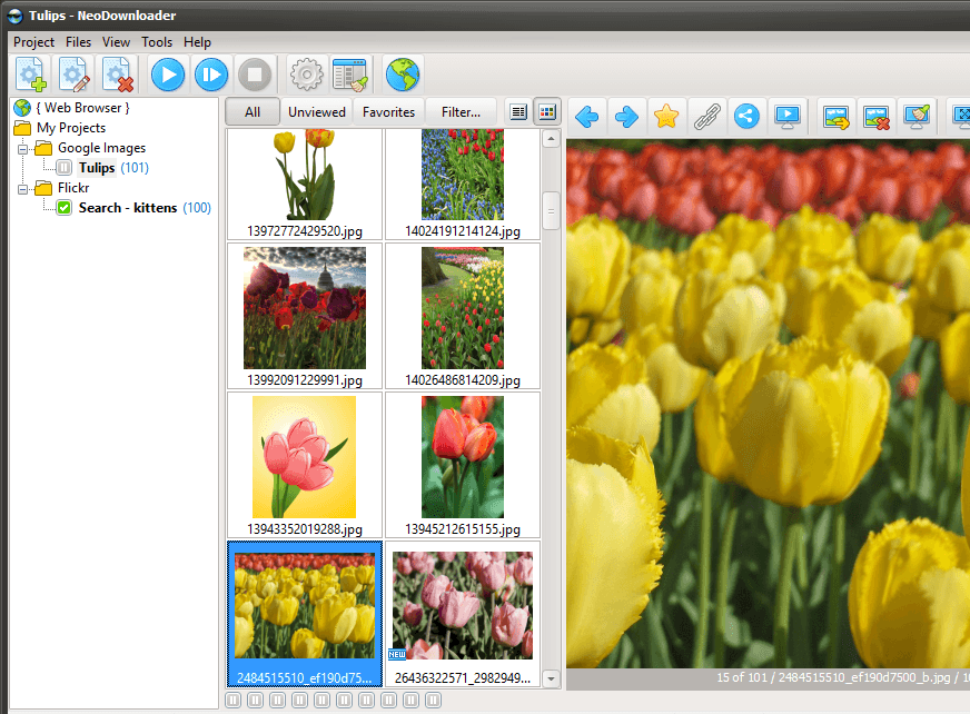 NeoDownloader showing downloaded images from Google Images search