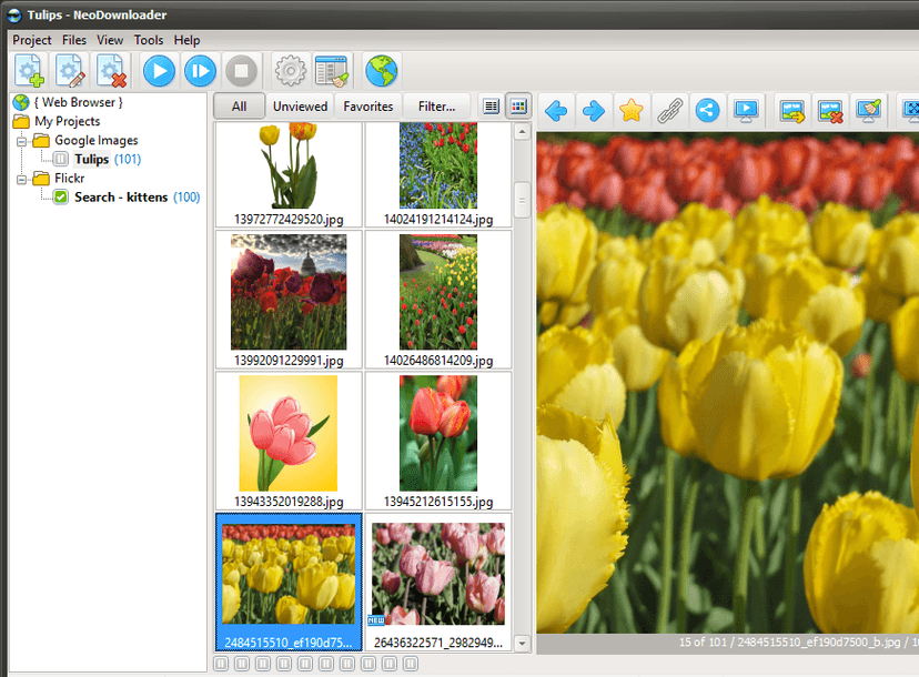 Downloaded images with built-in preview