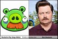Funny preview