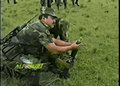 Animated, Funny, Gifs preview