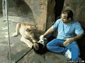 Animated, Funny, Gifs preview