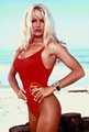 Actress, Celebrity, Lazygirls, Model, Pamela Anderson, Playmate preview