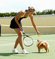 Athlete, Celebrity, Lazygirls, Maria Sharapova, Sports, Tennis preview