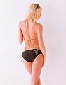 Blonde, Lingerie, Model, Olivia Paige, Playboy, Playmate, Sexy preview